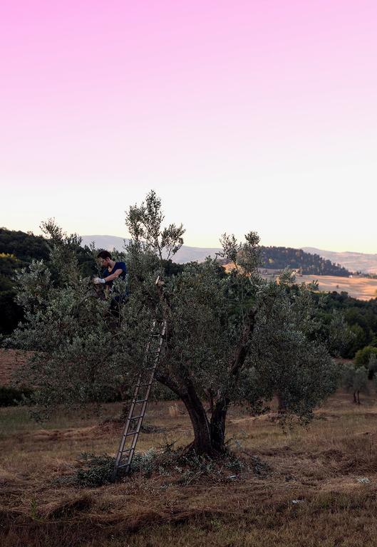 Villa Fonteintanata Miemo エクステリア 写真